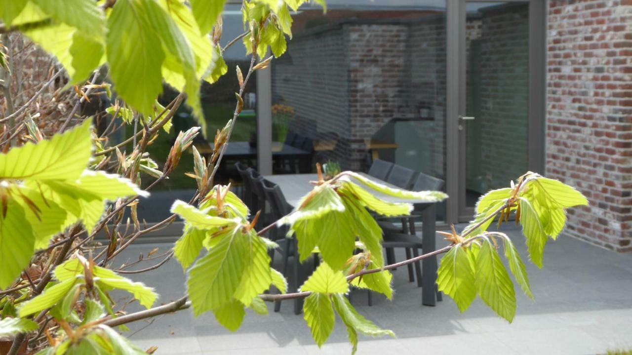 Camilles House Villa Wijtschate Eksteriør bilde
